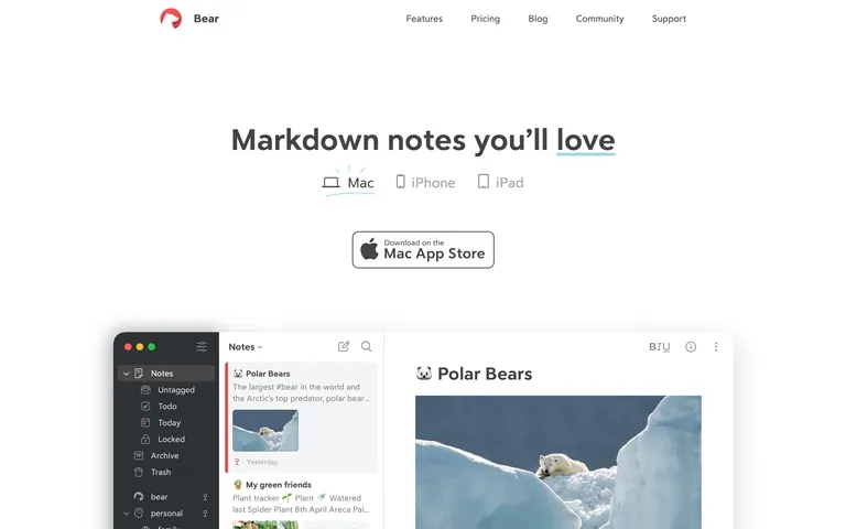 Bear screenshot